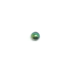 Multi / 037 - PT05