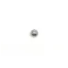 Gris / 038 - PT05