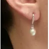 Rui 15