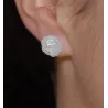 Mex 11